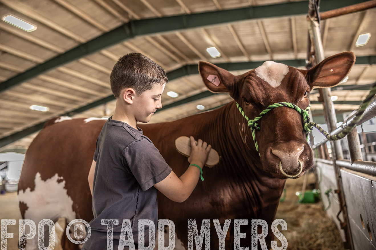 TMyers_PlotTwist_HEB_ConroeTX_April2024-517994