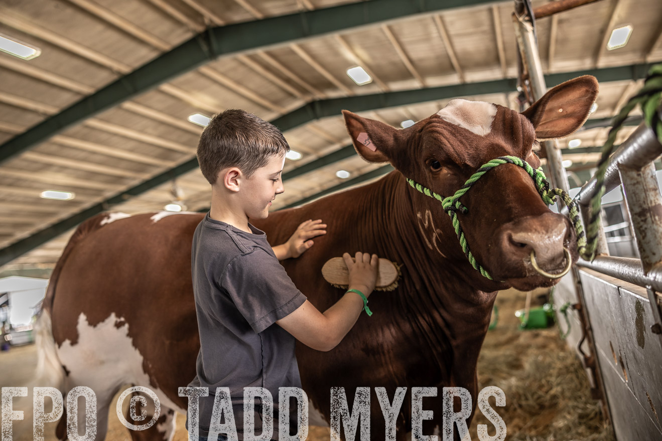 TMyers_PlotTwist_HEB_ConroeTX_April2024-518005