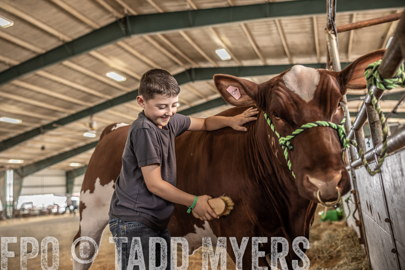 TMyers_PlotTwist_HEB_ConroeTX_April2024-518034