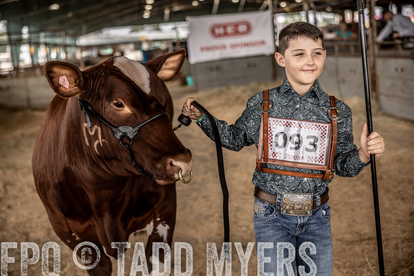 TMyers_PlotTwist_HEB_ConroeTX_April2024-518070
