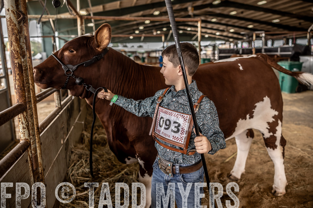 TMyers_PlotTwist_HEB_ConroeTX_April2024-518121