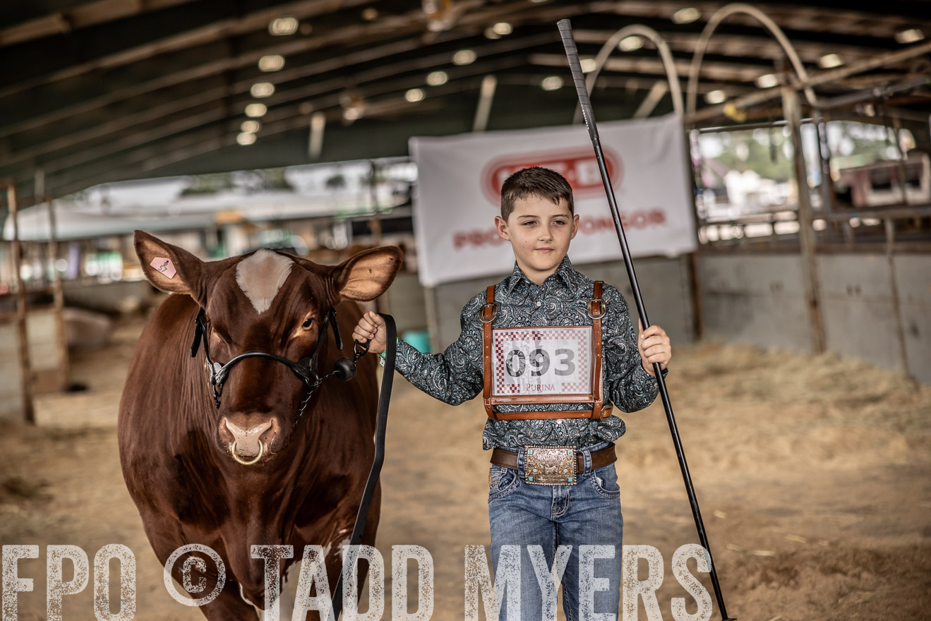 TMyers_PlotTwist_HEB_ConroeTX_April2024-518208