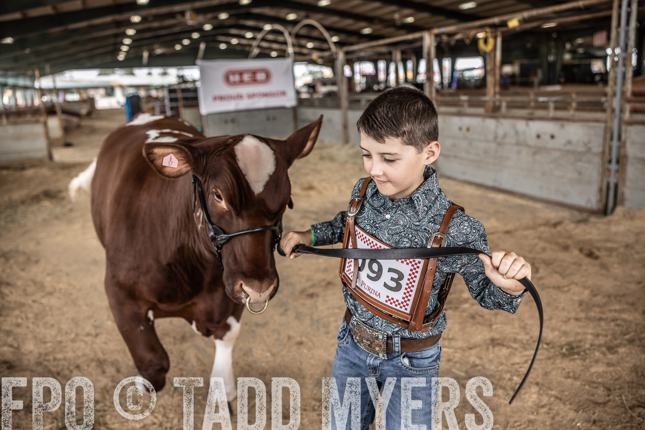 TMyers_PlotTwist_HEB_ConroeTX_April2024-518262