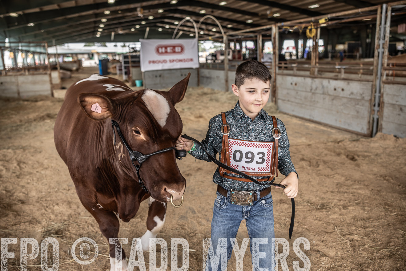 TMyers_PlotTwist_HEB_ConroeTX_April2024-518266