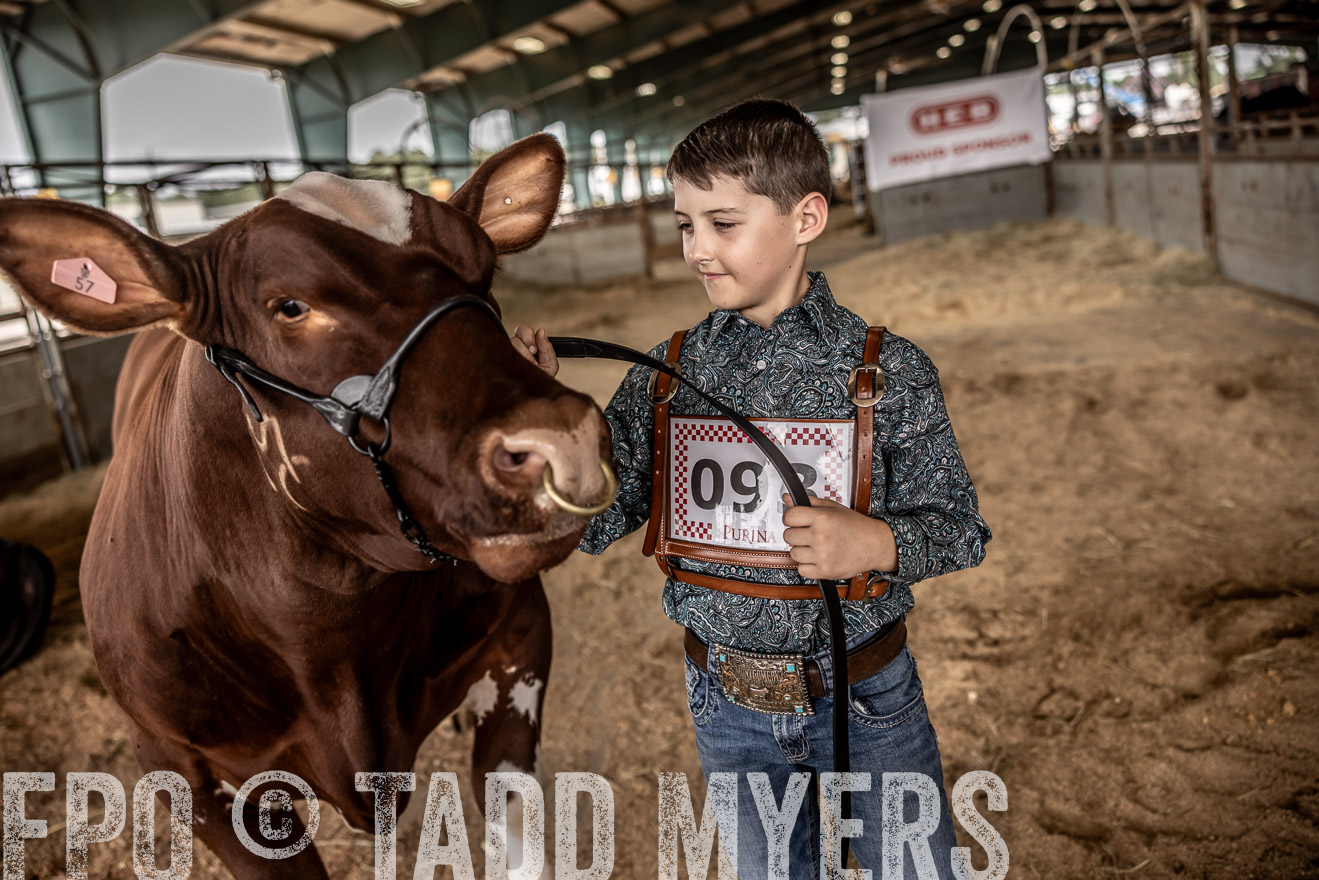 TMyers_PlotTwist_HEB_ConroeTX_April2024-518297