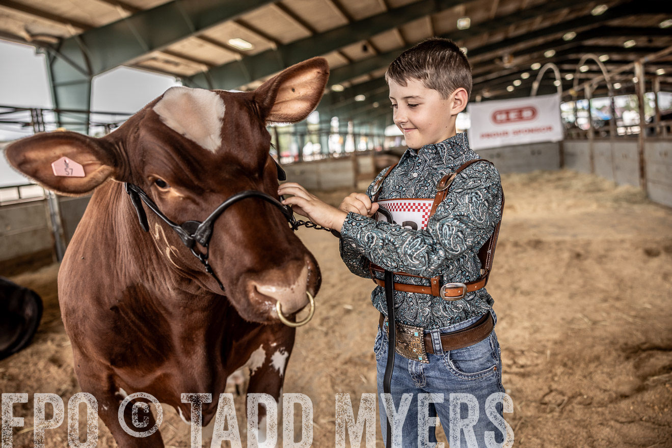 TMyers_PlotTwist_HEB_ConroeTX_April2024-518342