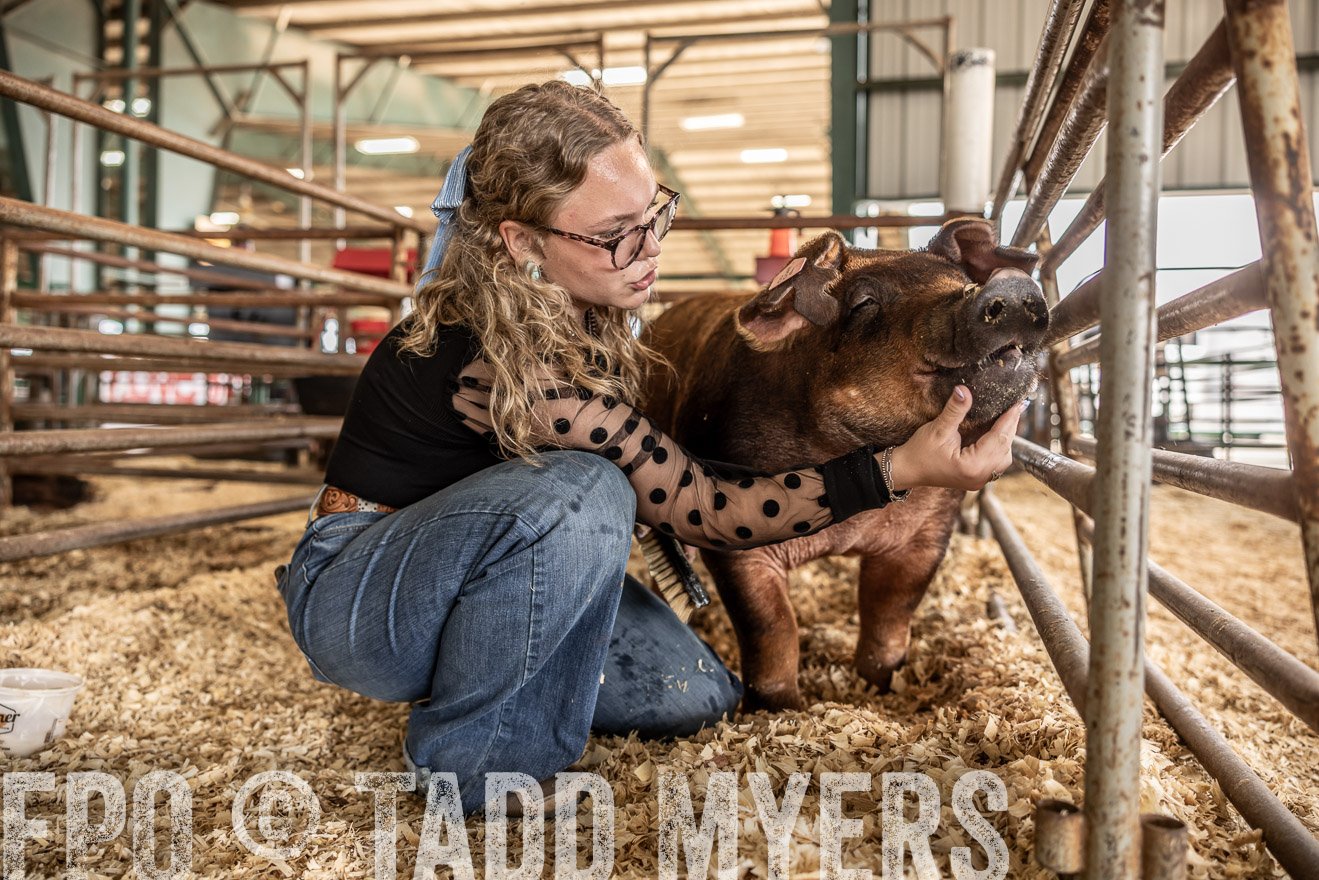 TMyers_PlotTwist_HEB_ConroeTX_April2024-518721