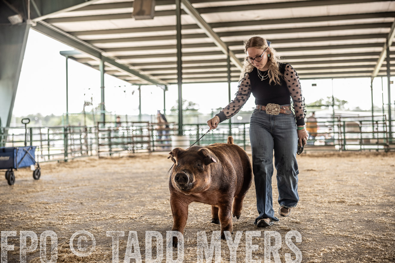 TMyers_PlotTwist_HEB_ConroeTX_April2024-518726