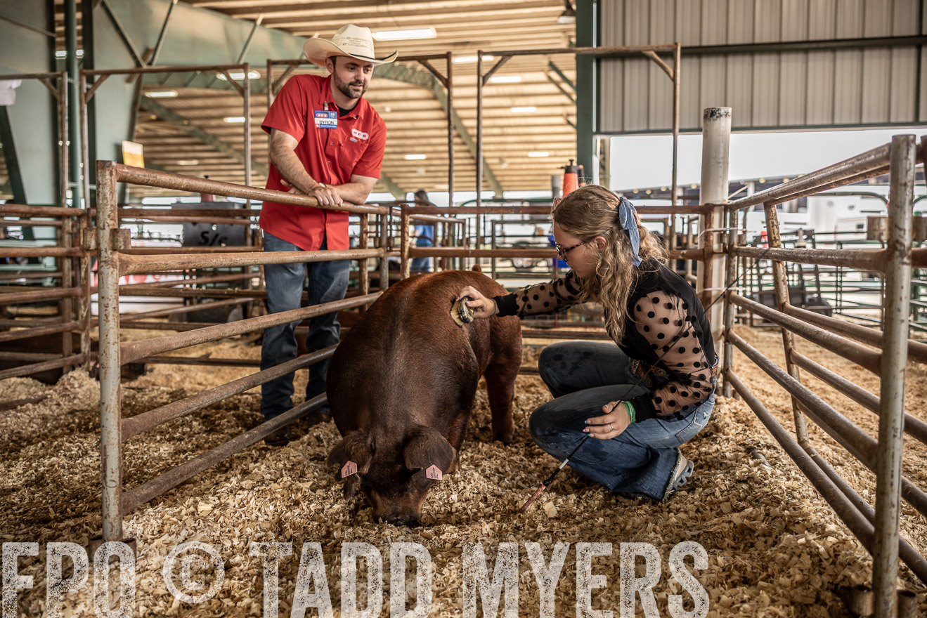 TMyers_PlotTwist_HEB_ConroeTX_April2024-518776