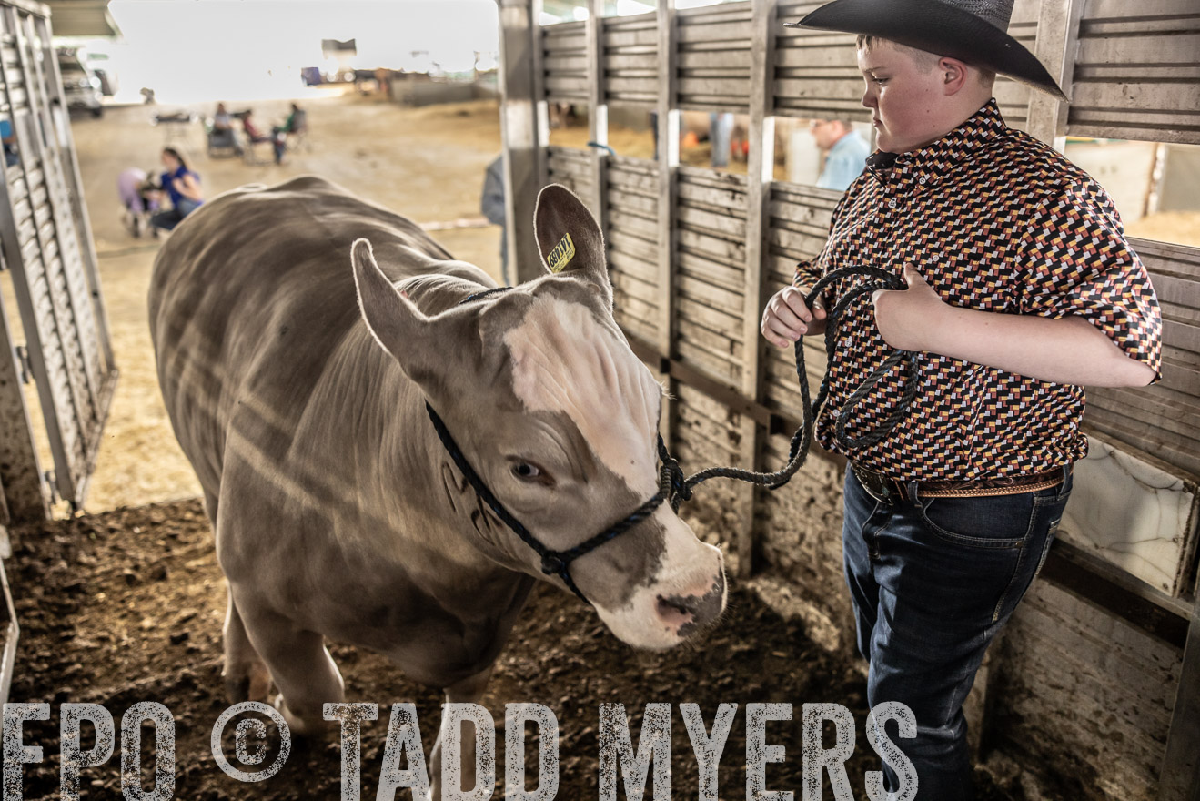 TMyers_PlotTwist_HEB_ConroeTX_April2024-518826