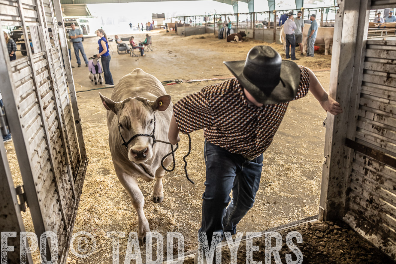 TMyers_PlotTwist_HEB_ConroeTX_April2024-518833