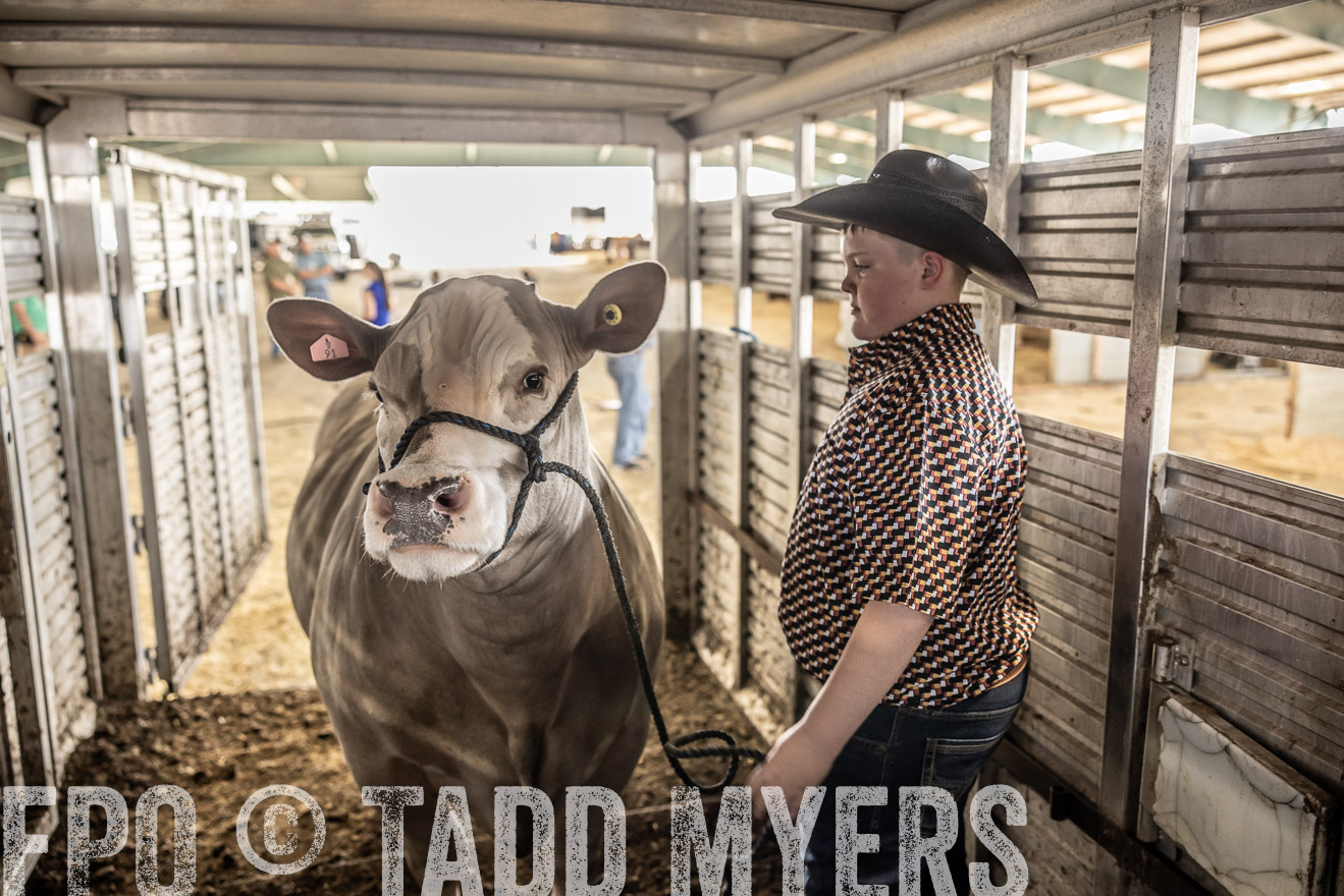 TMyers_PlotTwist_HEB_ConroeTX_April2024-518849