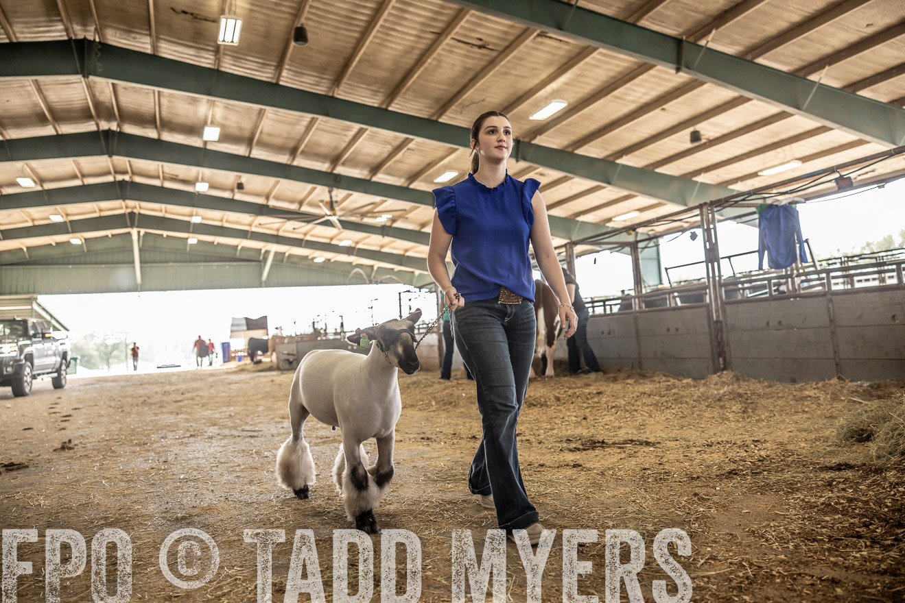 TMyers_PlotTwist_HEB_ConroeTX_April2024-518896