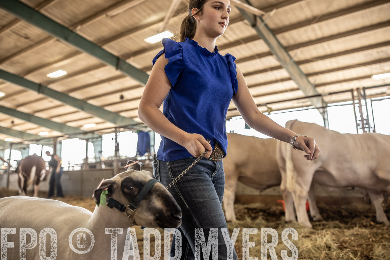 TMyers_PlotTwist_HEB_ConroeTX_April2024-518904