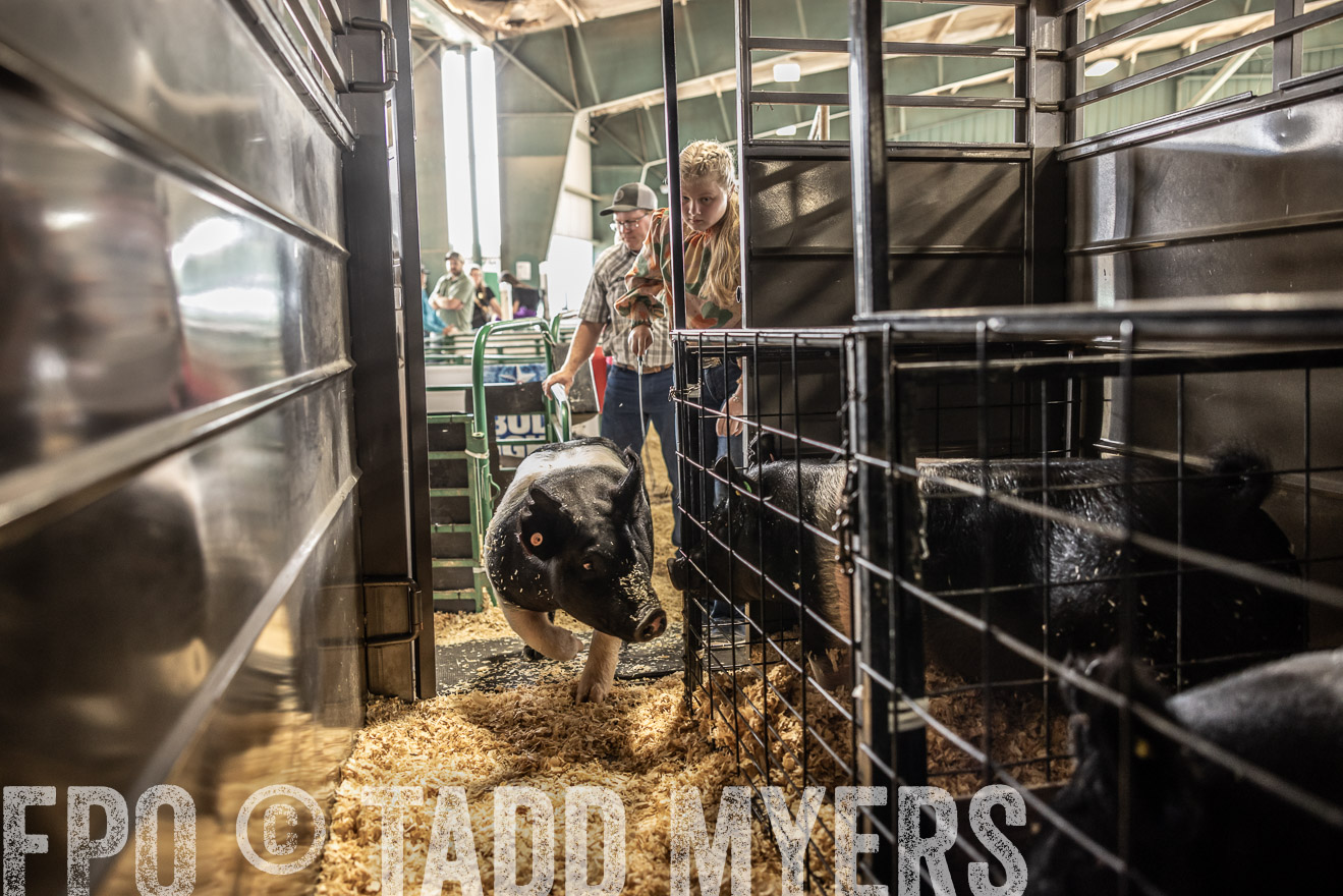 TMyers_PlotTwist_HEB_ConroeTX_April2024-518930