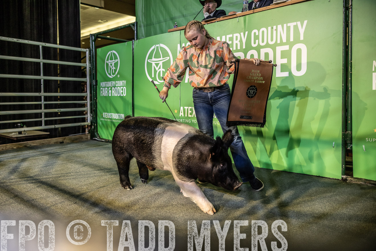 TMyers_PlotTwist_HEB_ConroeTX_April2024-519080