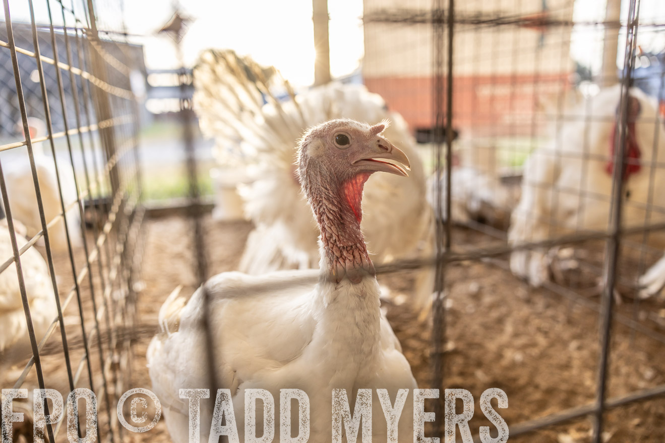 TMyers_PlotTwist_HEB_AliceTX_Oct2024-518451