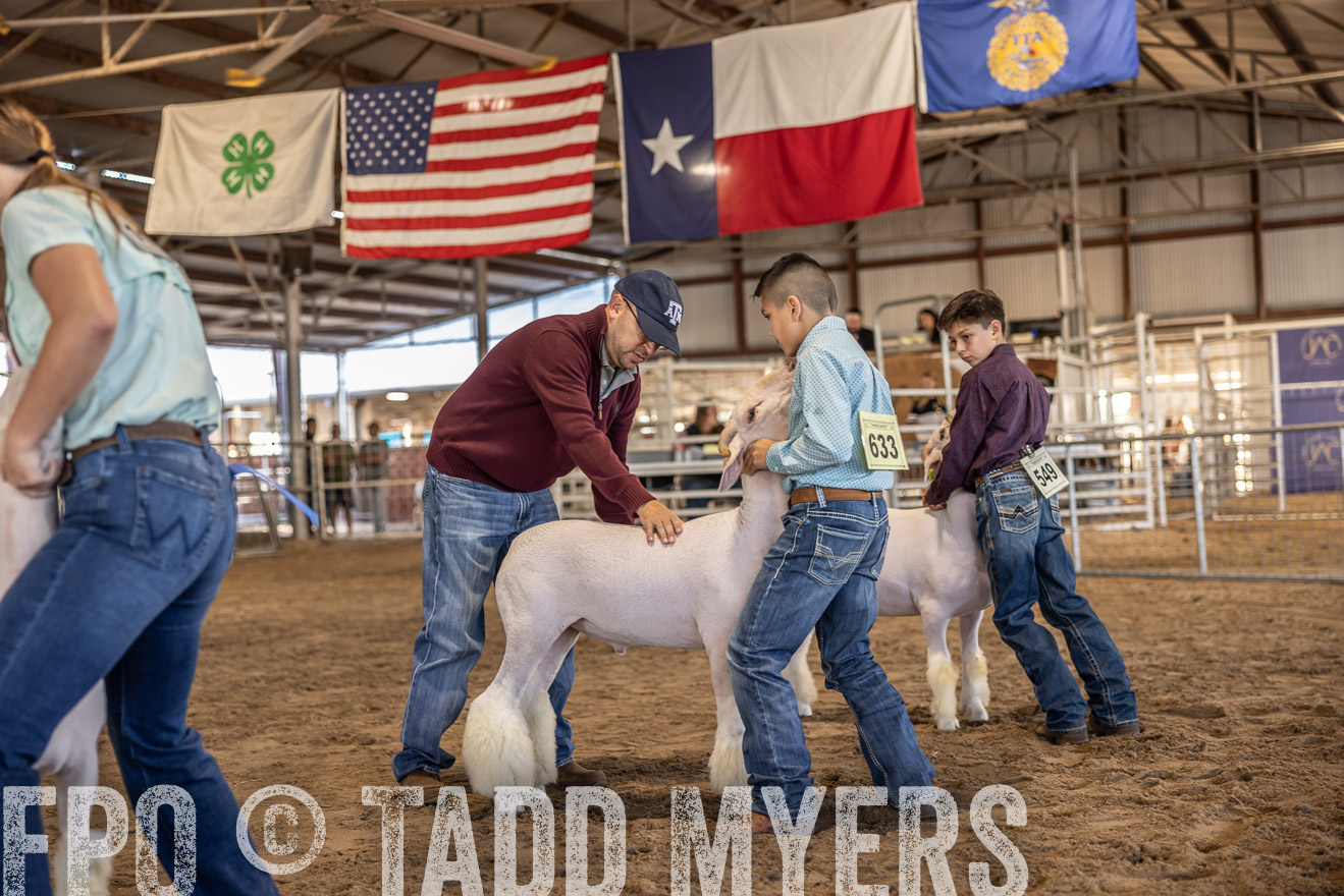 TMyers_PlotTwist_HEB_AliceTX_Oct2024-518563