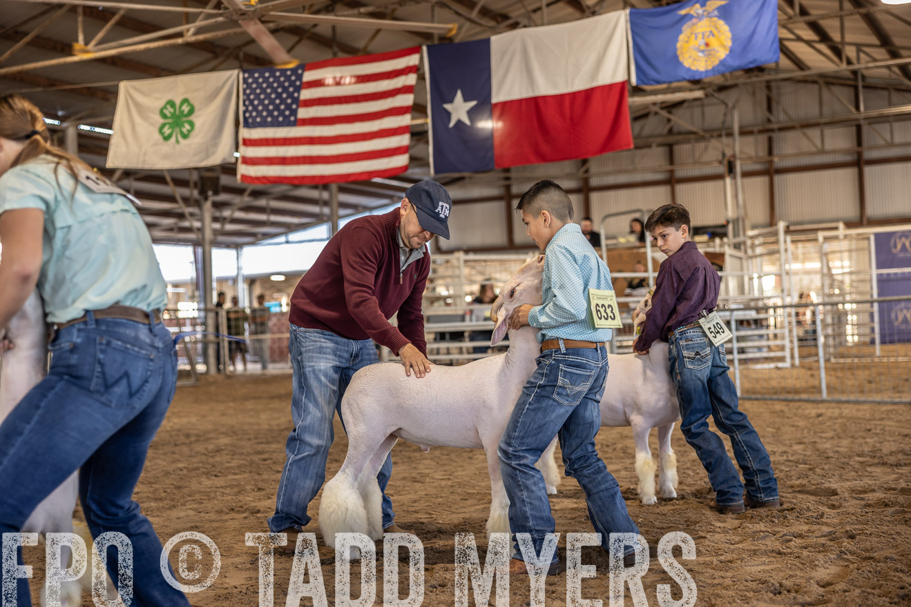 TMyers_PlotTwist_HEB_AliceTX_Oct2024-518564