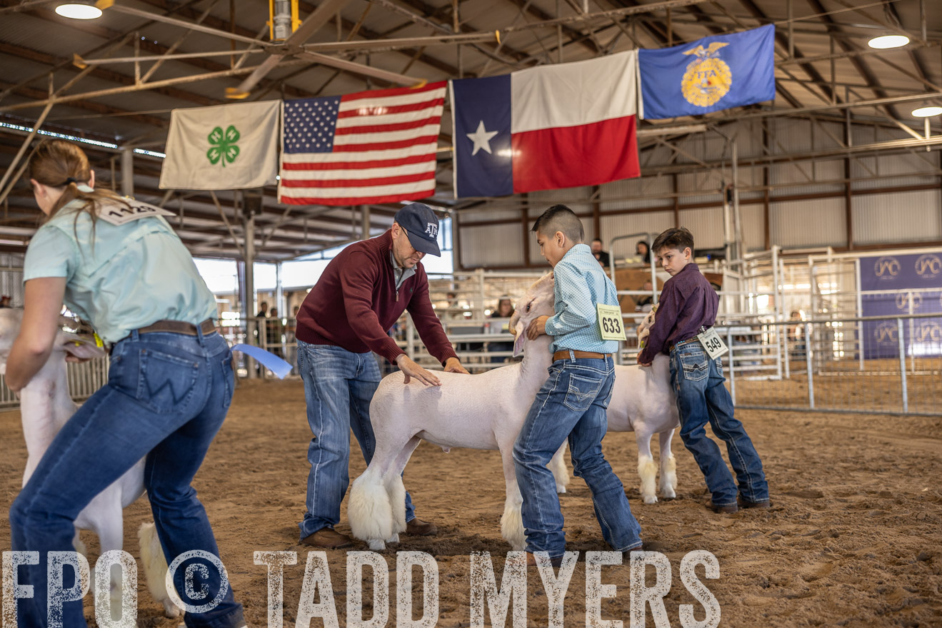 TMyers_PlotTwist_HEB_AliceTX_Oct2024-518565