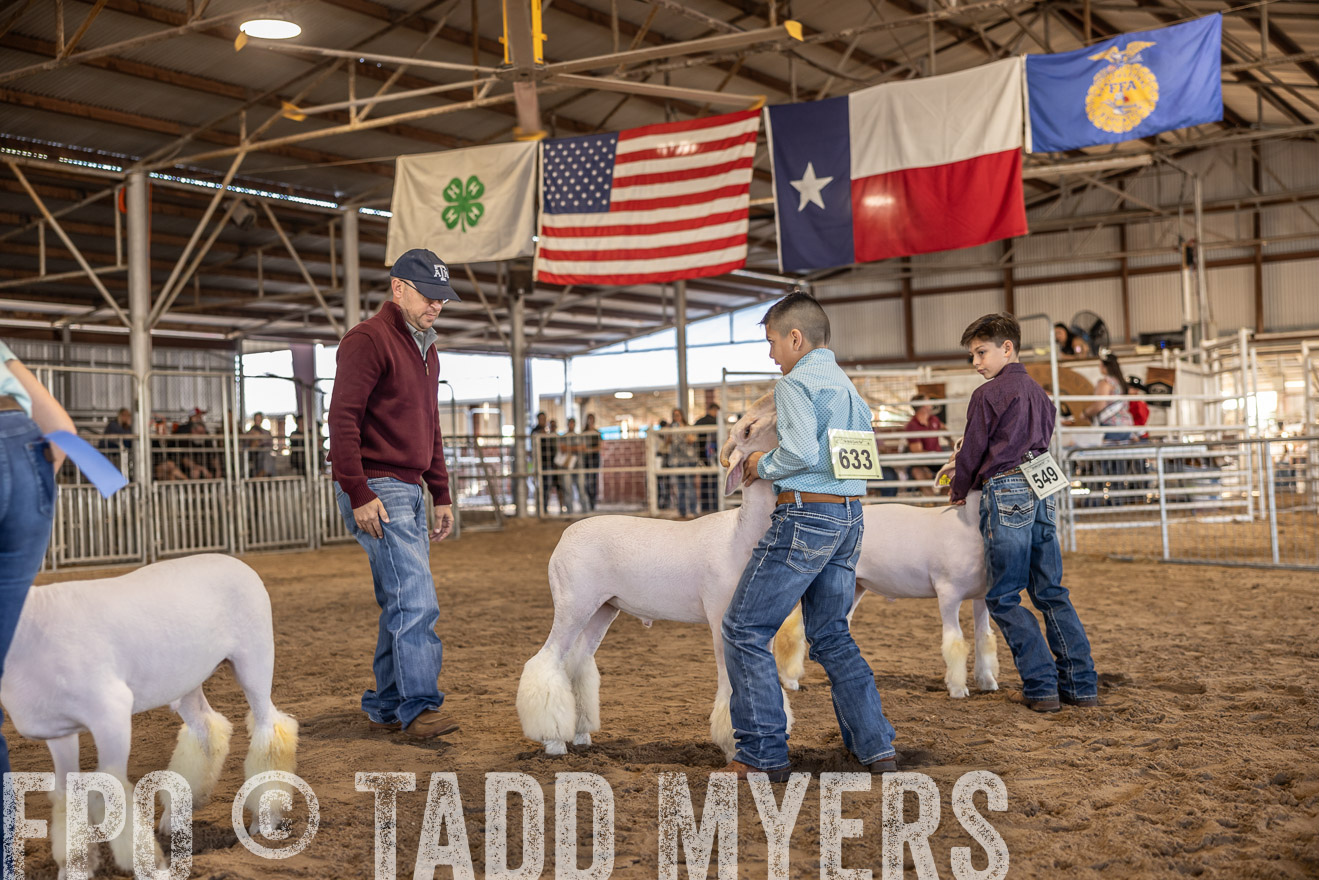 TMyers_PlotTwist_HEB_AliceTX_Oct2024-518570