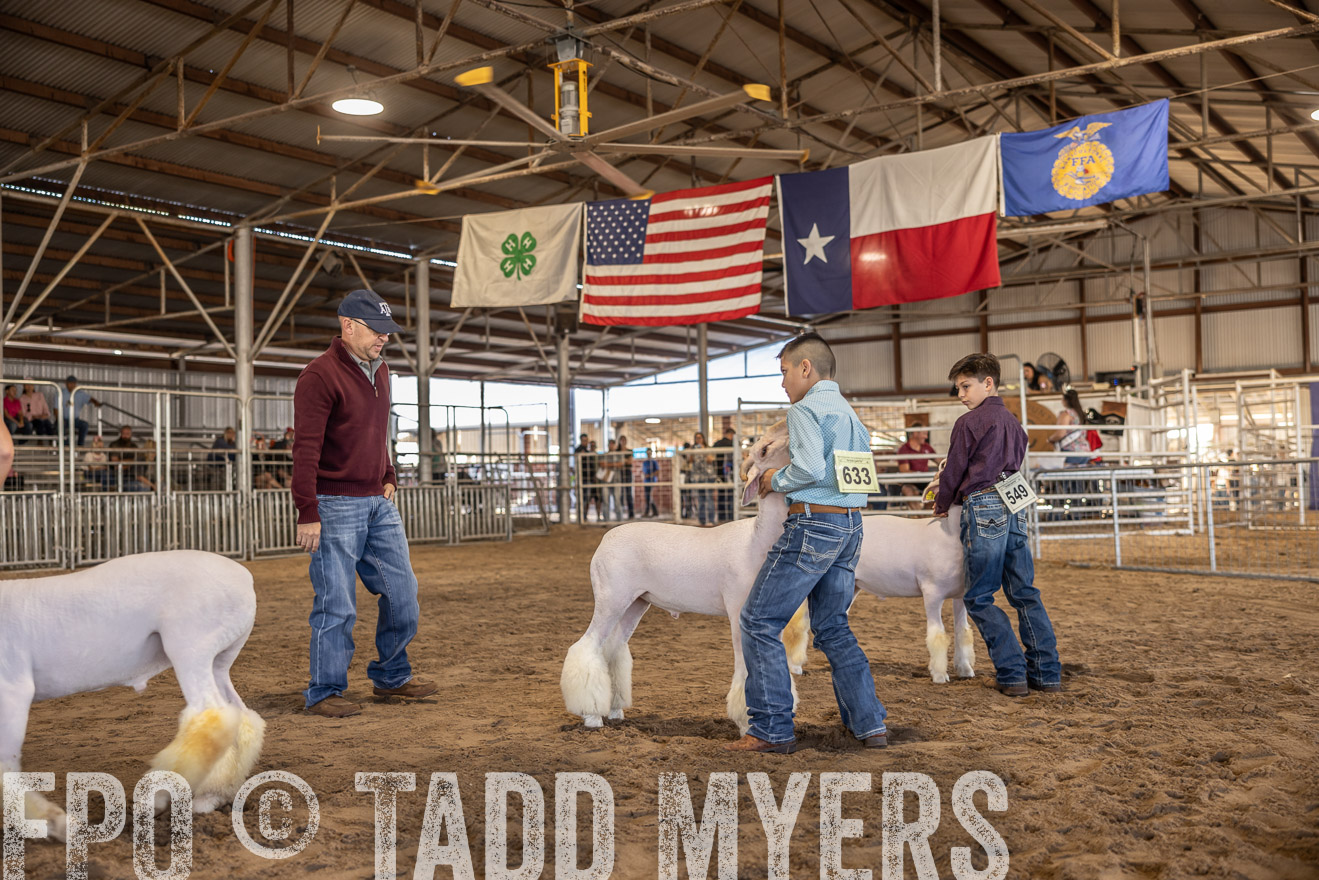 TMyers_PlotTwist_HEB_AliceTX_Oct2024-518573
