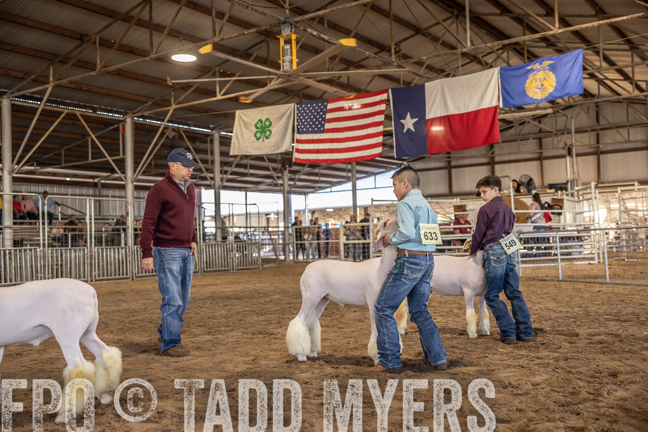 TMyers_PlotTwist_HEB_AliceTX_Oct2024-518574