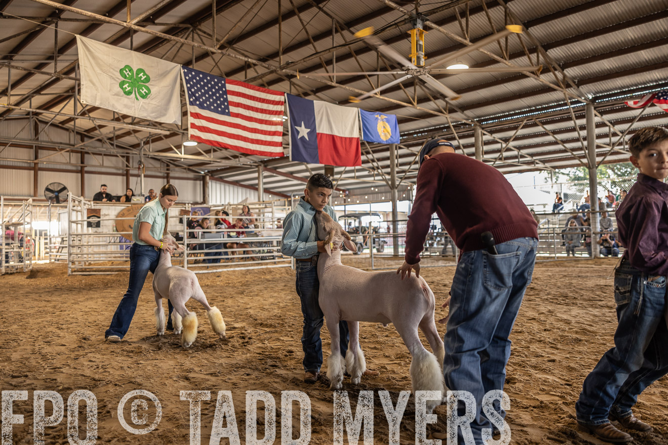 TMyers_PlotTwist_HEB_AliceTX_Oct2024-518607