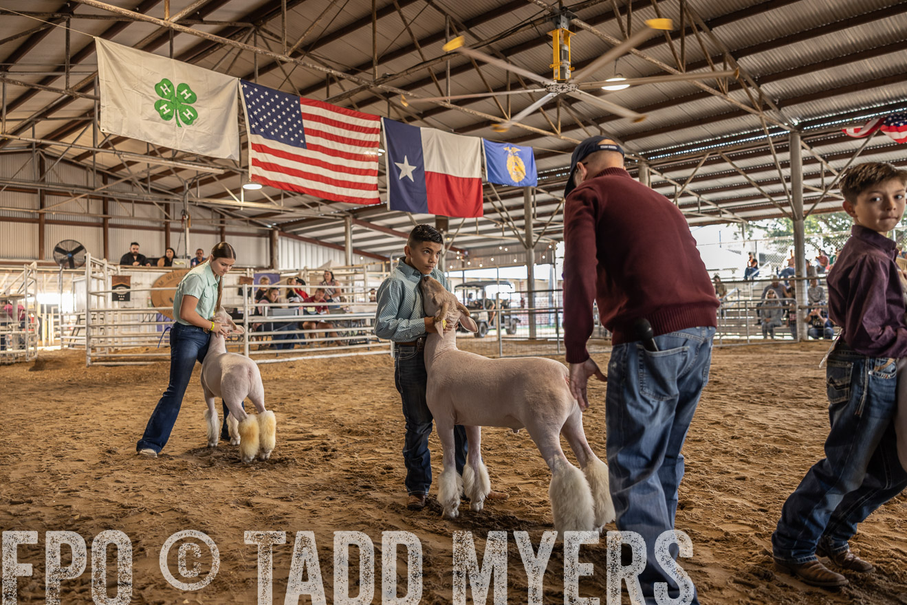 TMyers_PlotTwist_HEB_AliceTX_Oct2024-518608