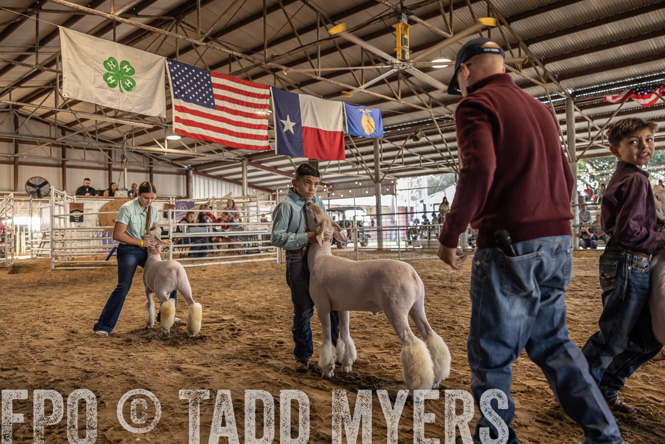 TMyers_PlotTwist_HEB_AliceTX_Oct2024-518610