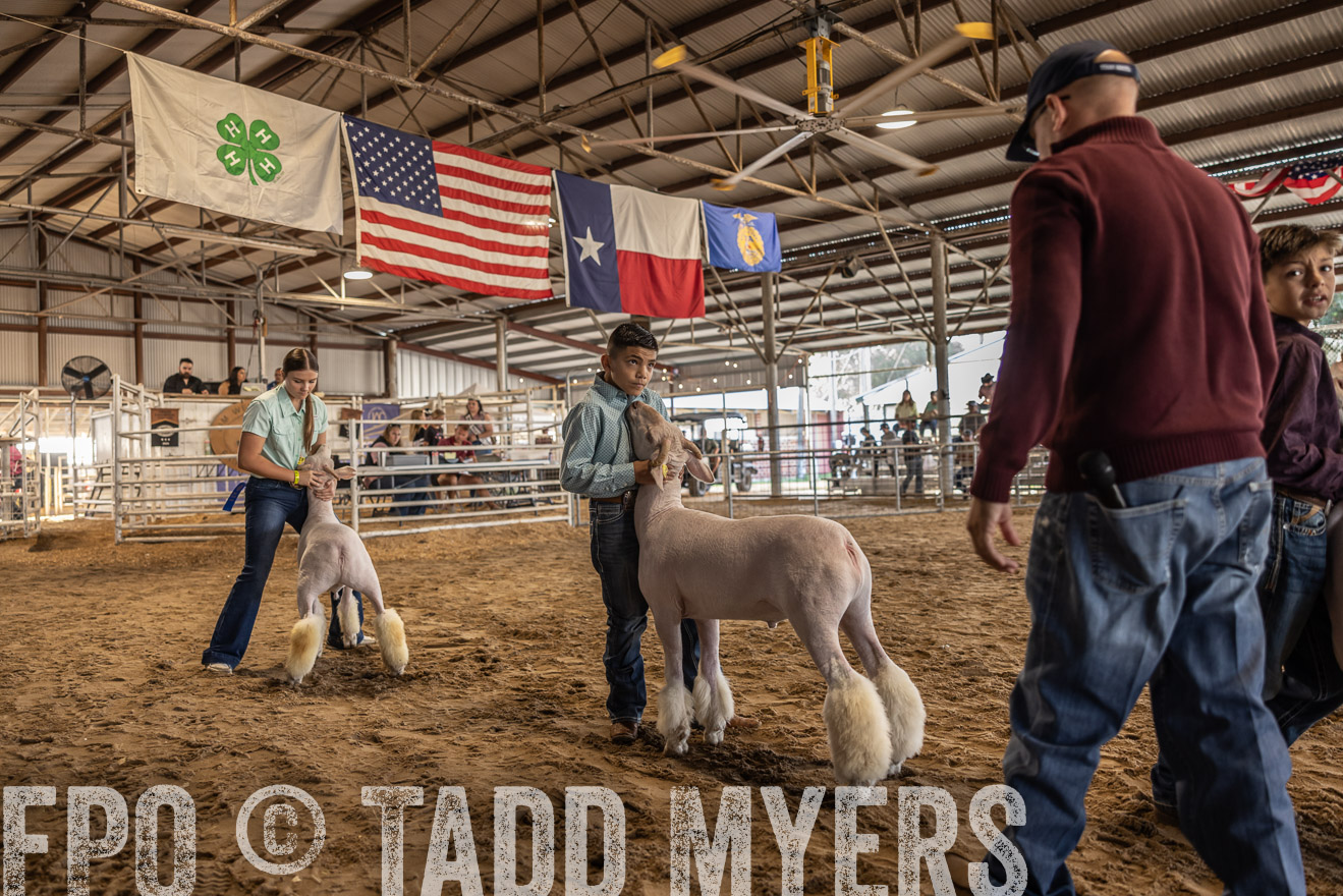 TMyers_PlotTwist_HEB_AliceTX_Oct2024-518611