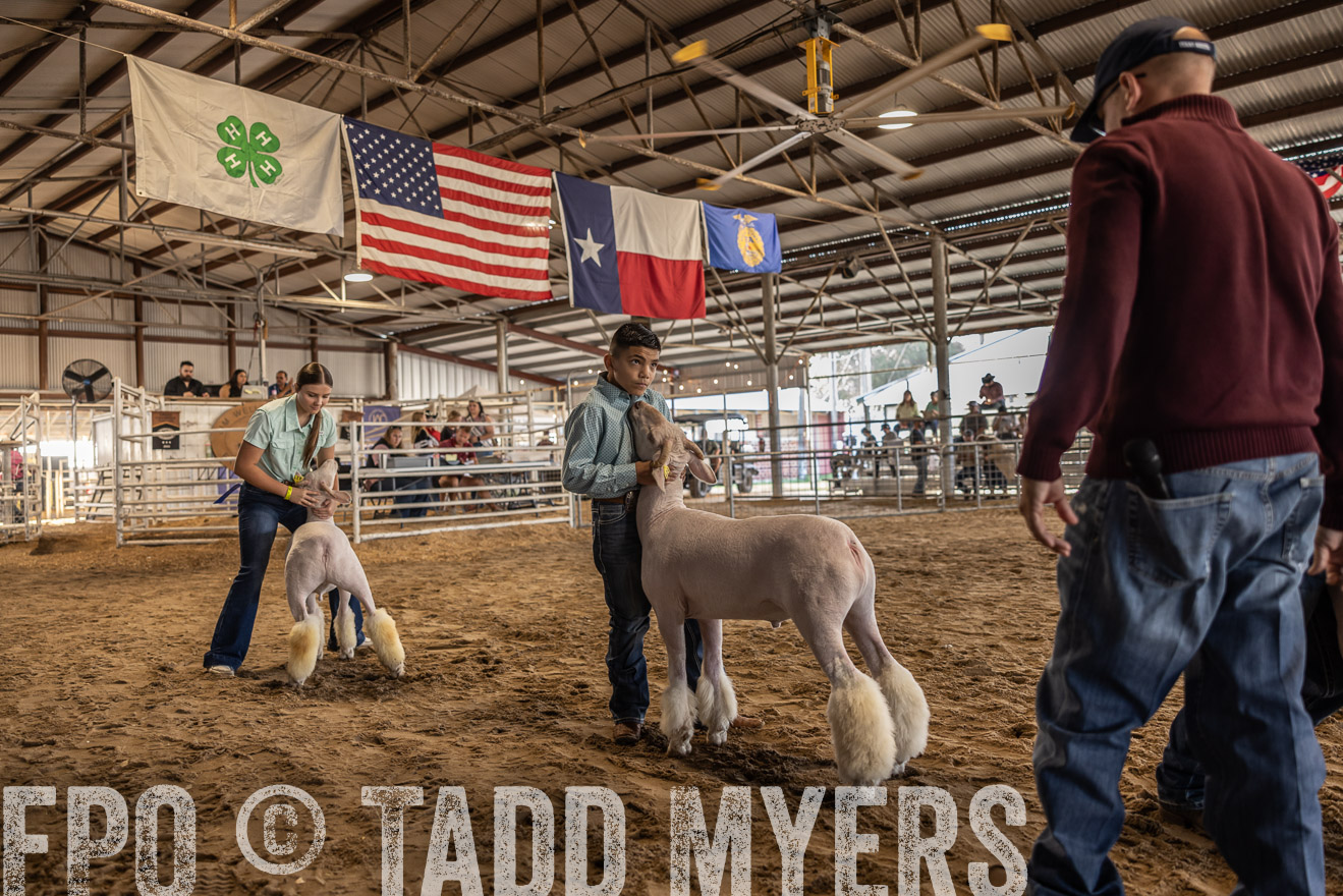 TMyers_PlotTwist_HEB_AliceTX_Oct2024-518612