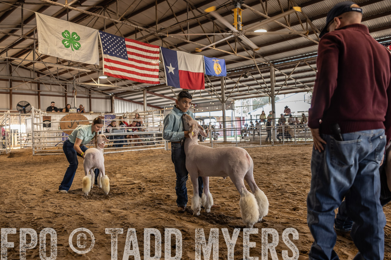 TMyers_PlotTwist_HEB_AliceTX_Oct2024-518613