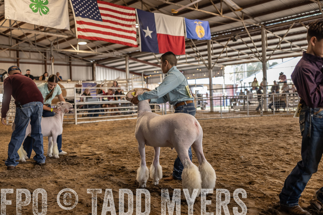 TMyers_PlotTwist_HEB_AliceTX_Oct2024-518619