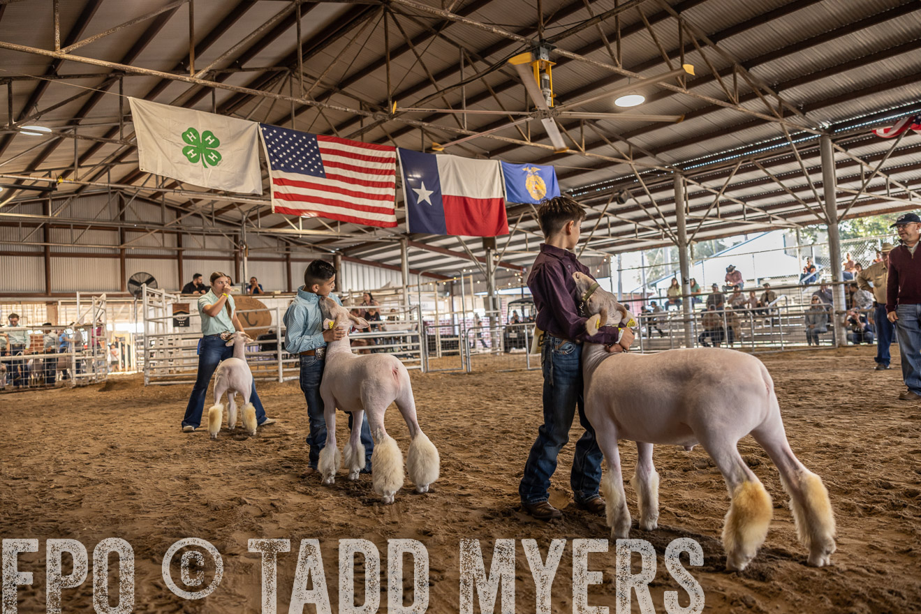 TMyers_PlotTwist_HEB_AliceTX_Oct2024-518625
