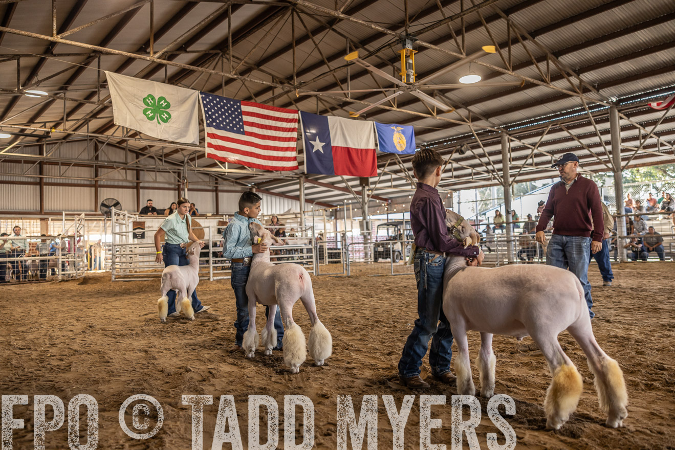 TMyers_PlotTwist_HEB_AliceTX_Oct2024-518631