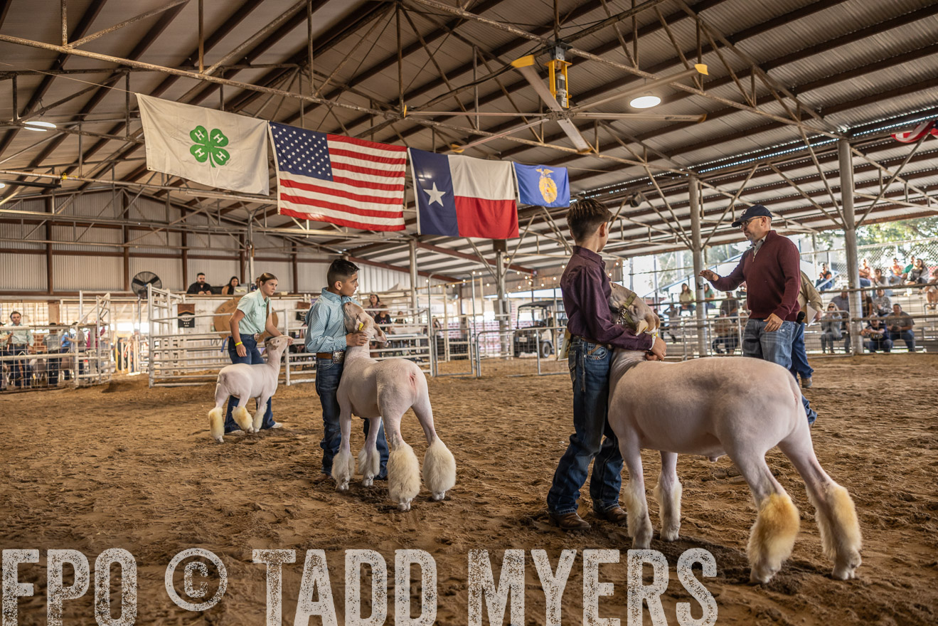 TMyers_PlotTwist_HEB_AliceTX_Oct2024-518633