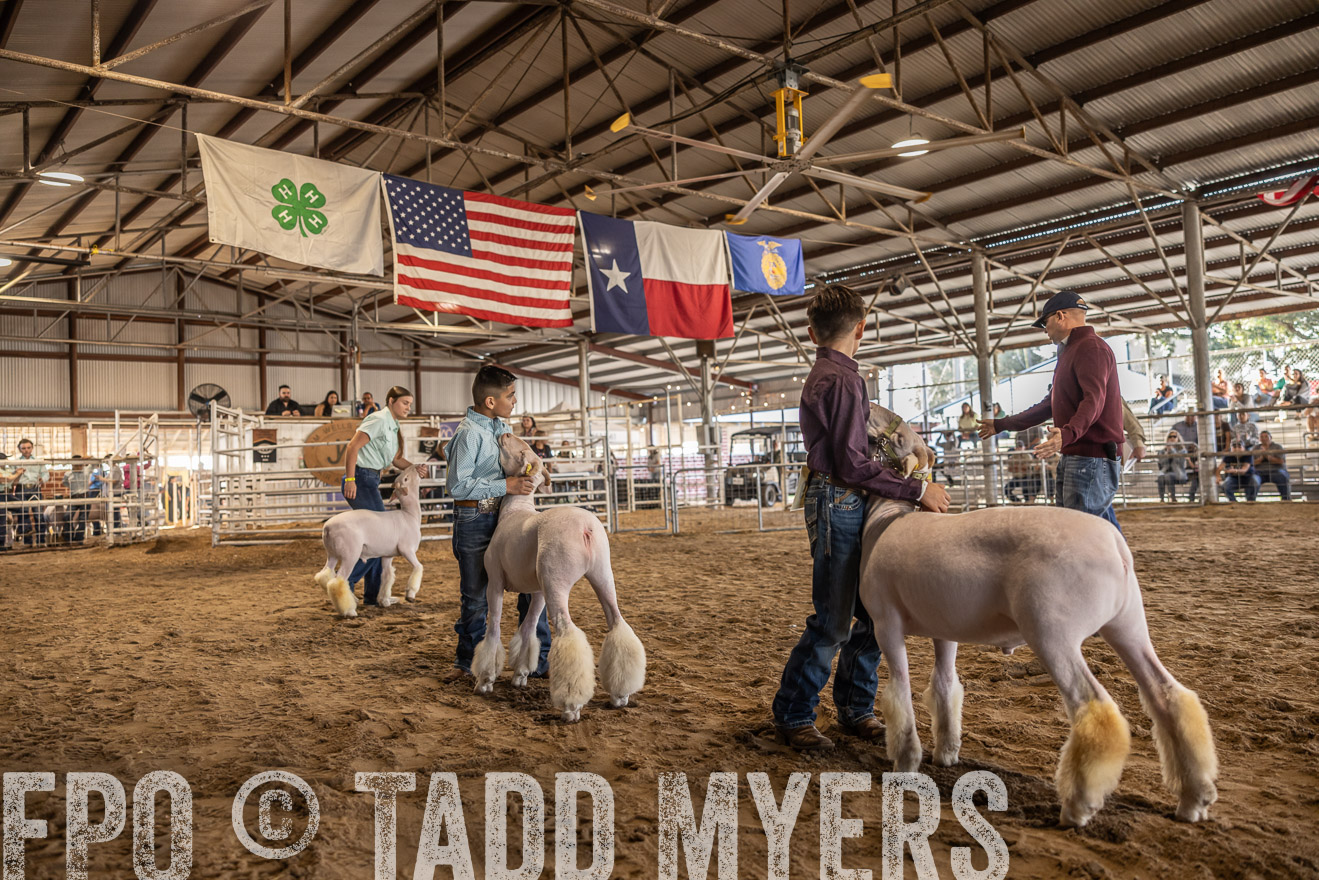 TMyers_PlotTwist_HEB_AliceTX_Oct2024-518634