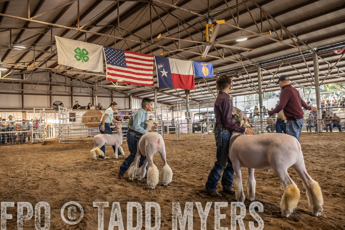 TMyers_PlotTwist_HEB_AliceTX_Oct2024-518635
