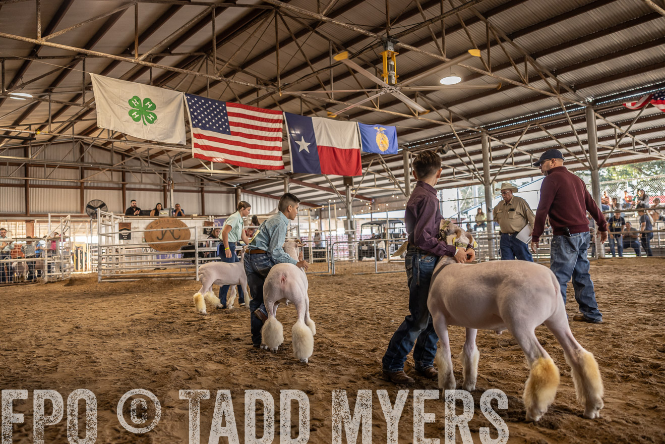 TMyers_PlotTwist_HEB_AliceTX_Oct2024-518636