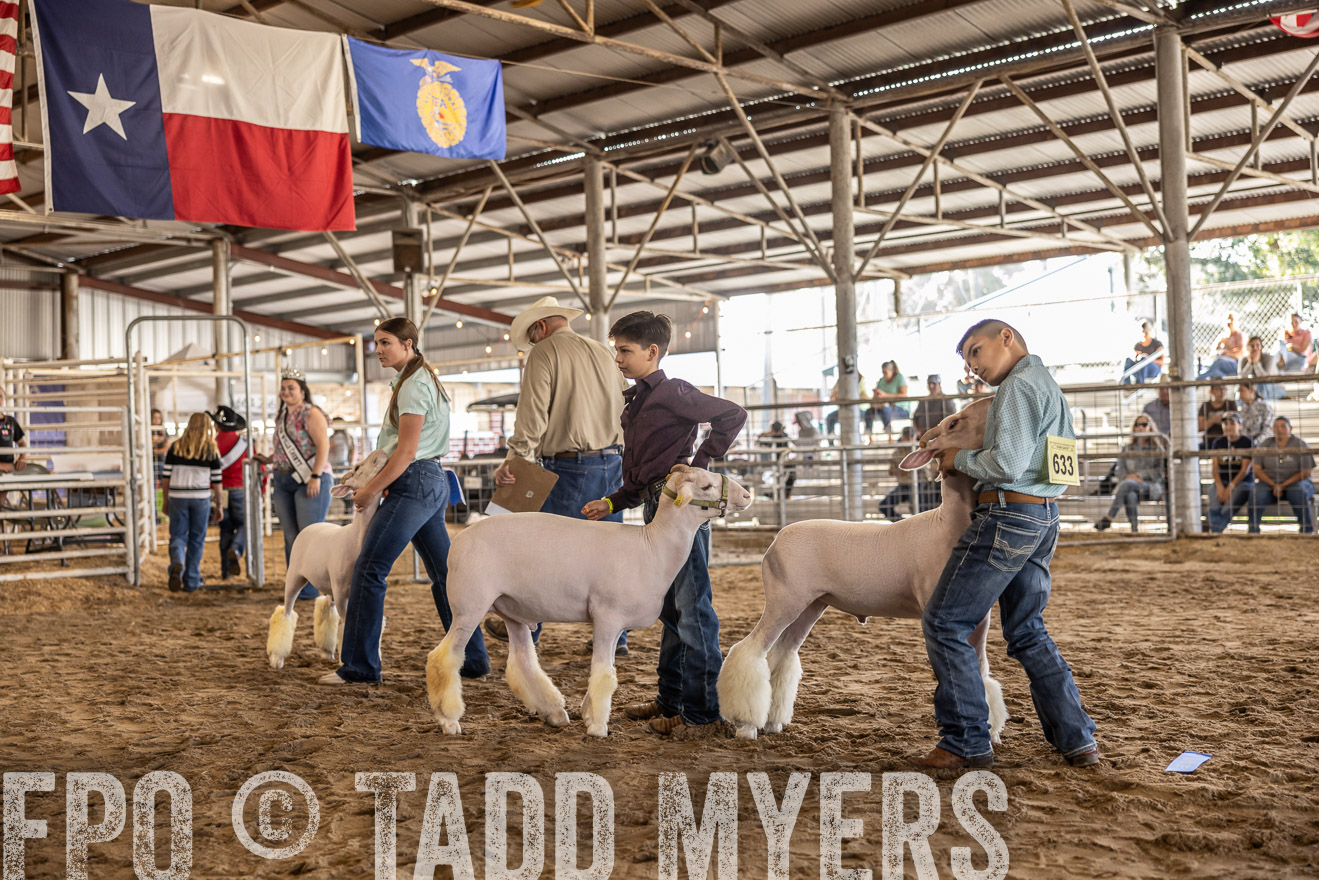 TMyers_PlotTwist_HEB_AliceTX_Oct2024-518647