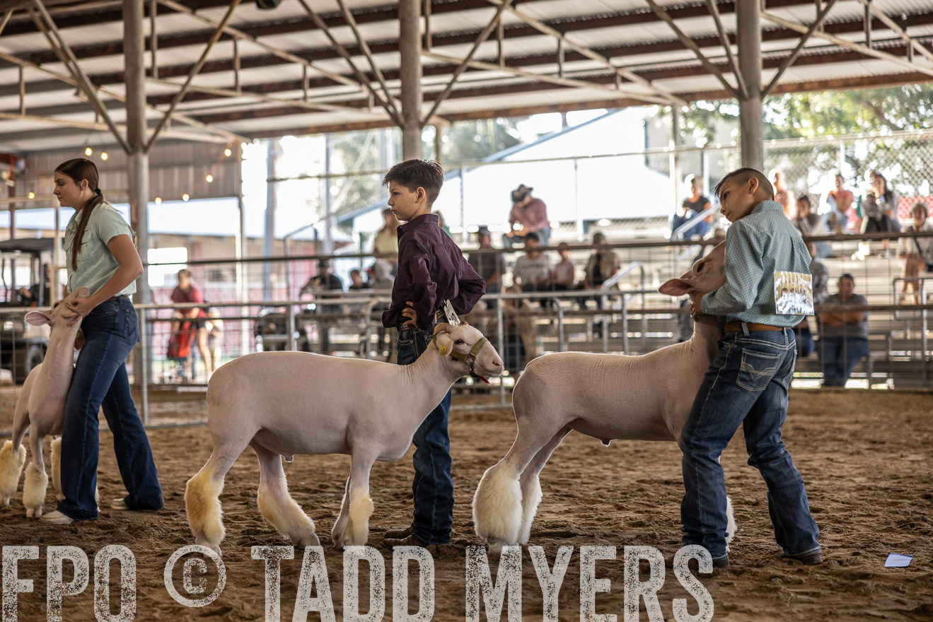 TMyers_PlotTwist_HEB_AliceTX_Oct2024-518653