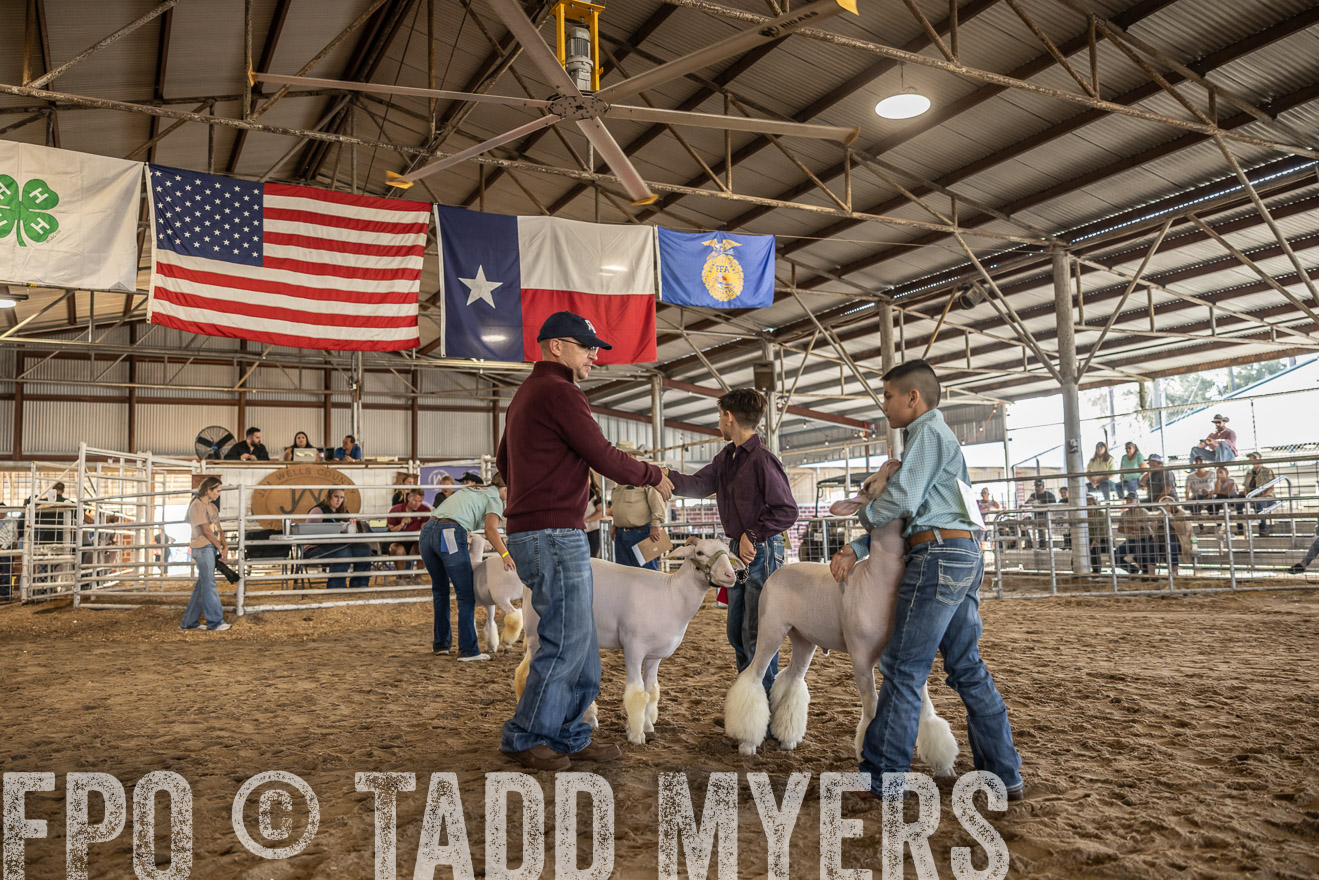 TMyers_PlotTwist_HEB_AliceTX_Oct2024-518667