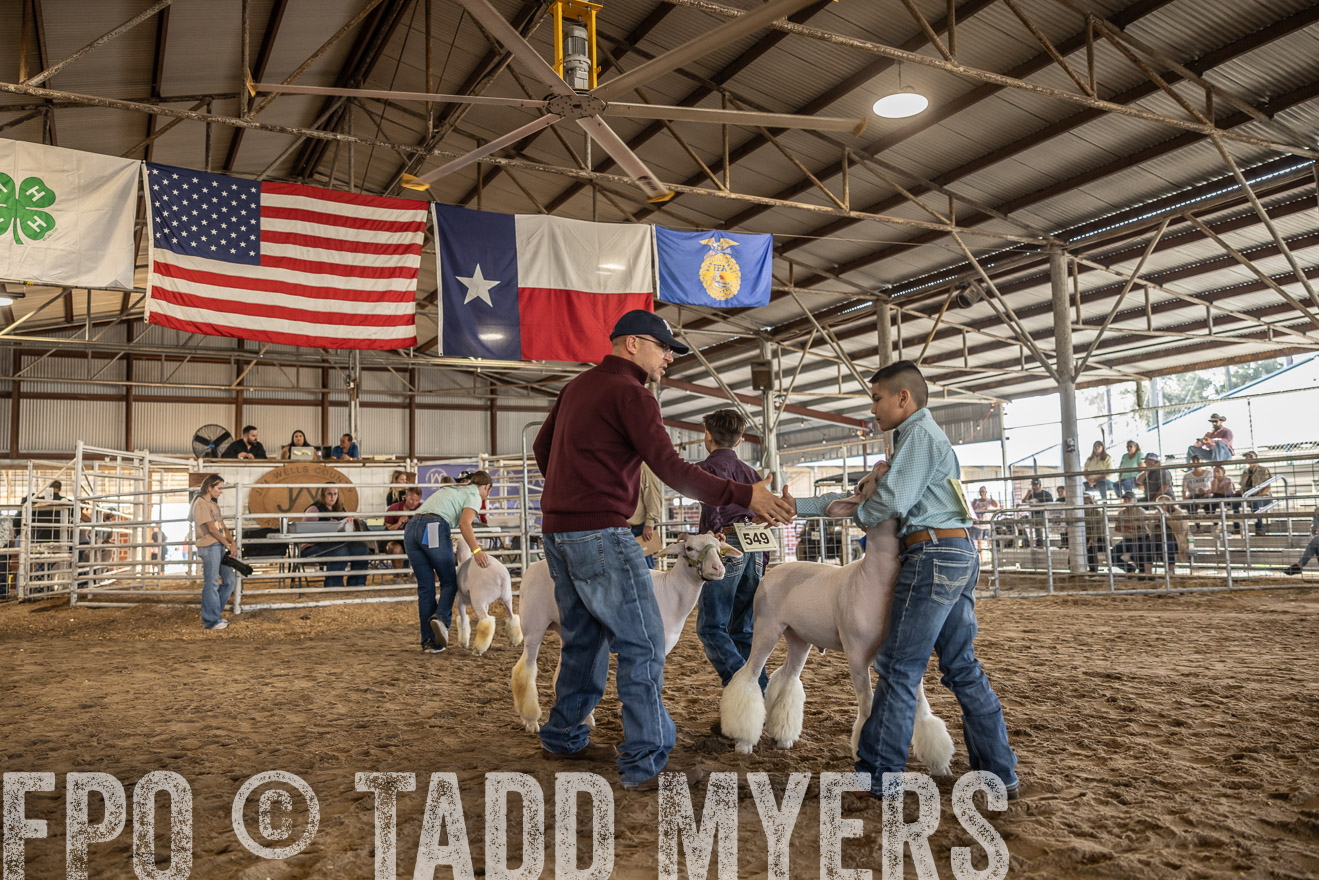 TMyers_PlotTwist_HEB_AliceTX_Oct2024-518669