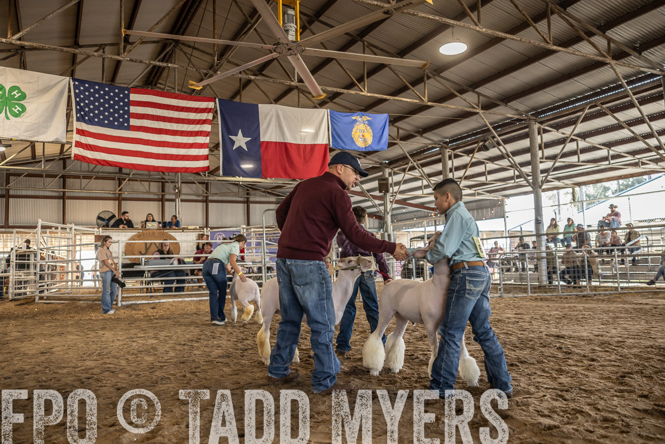 TMyers_PlotTwist_HEB_AliceTX_Oct2024-518670