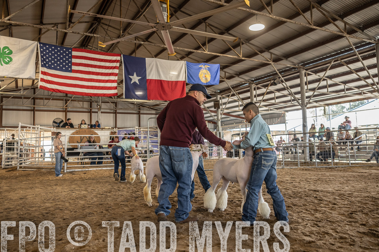 TMyers_PlotTwist_HEB_AliceTX_Oct2024-518671