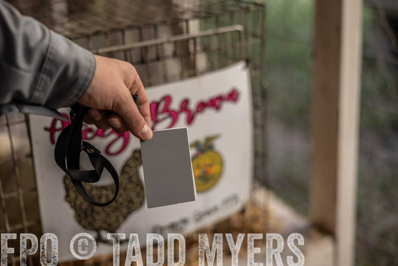 TMyers_PlotTwist_HEB_AliceTX_Oct2024-519027