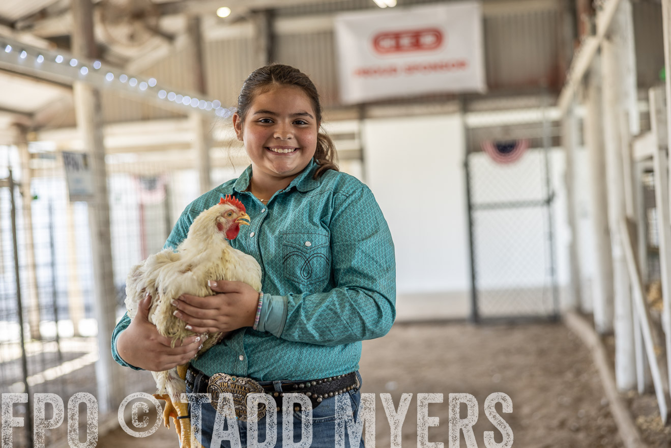 TMyers_PlotTwist_HEB_AliceTX_Oct2024-519063