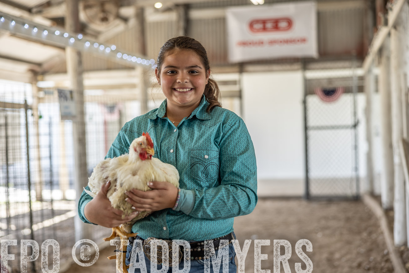 TMyers_PlotTwist_HEB_AliceTX_Oct2024-519073