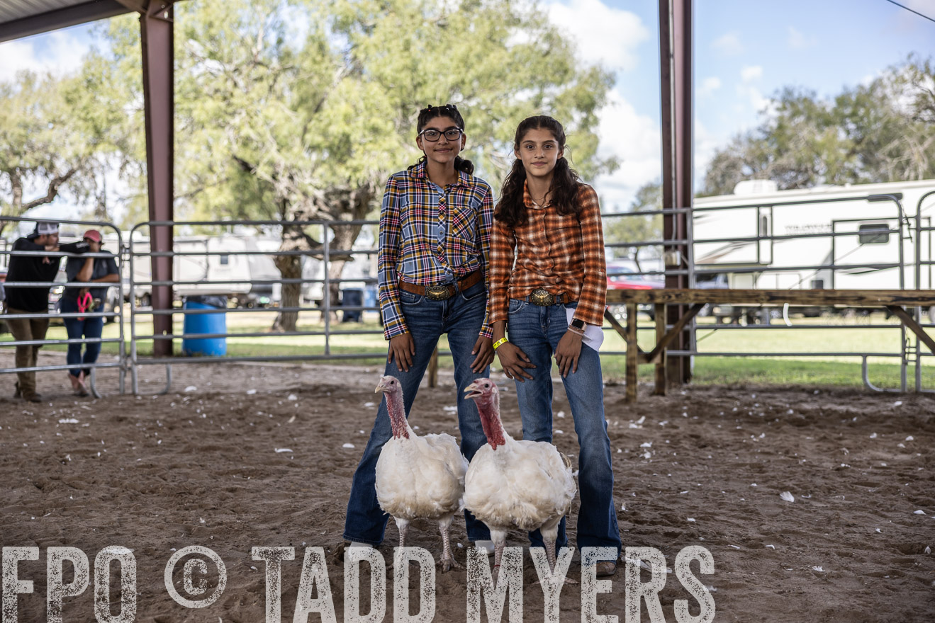 TMyers_PlotTwist_HEB_AliceTX_Oct2024-519356